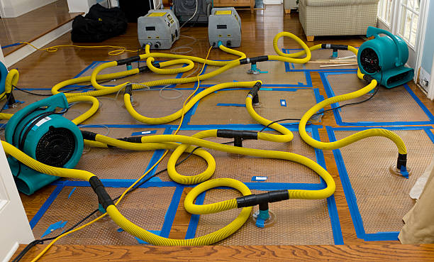 Professional Water Extraction technician working in San Leandro, CA